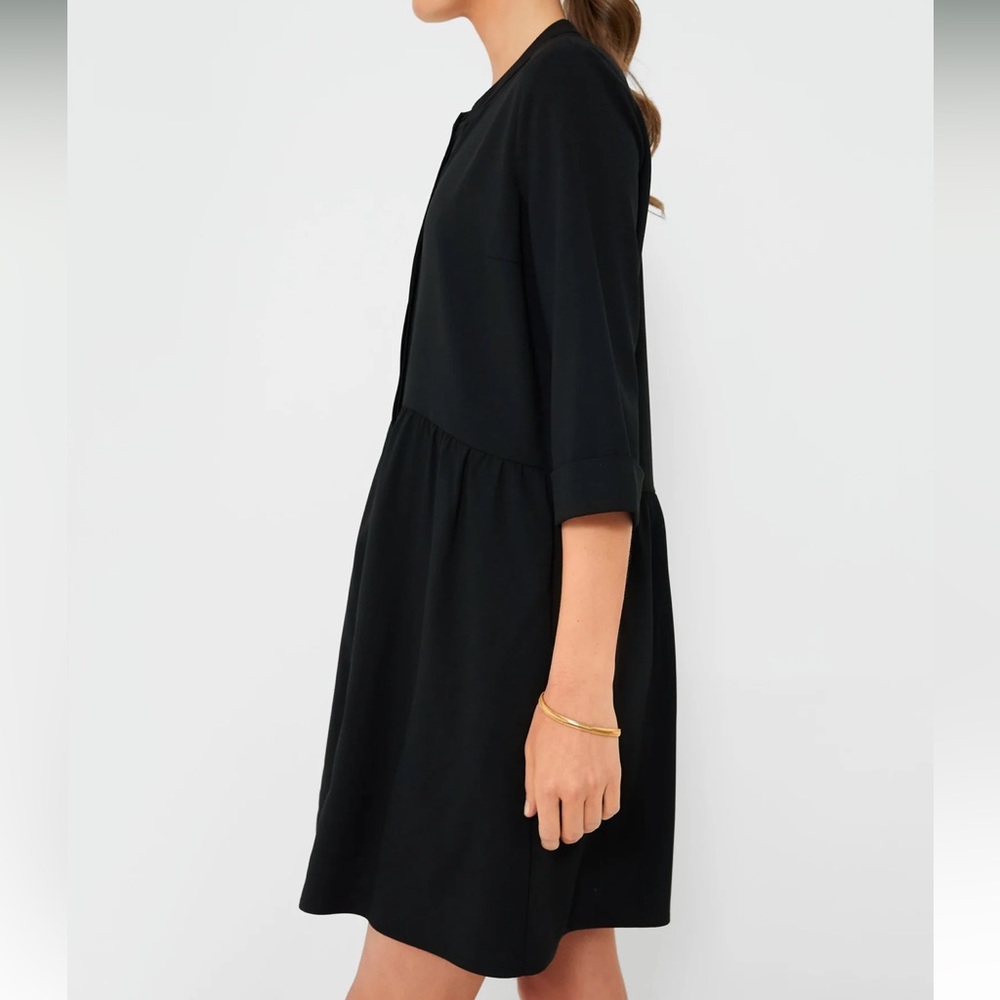 Tuckernuck Black Royal Shirt Dress - Picture 4 of 13